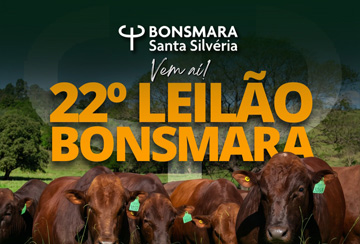 22º LEILÃO BONSMARA SANTA SILVÉRIA